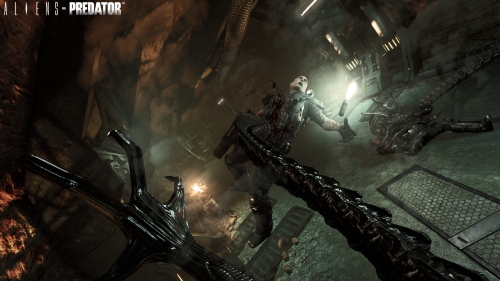 AVP_AlienPOVscreen_med