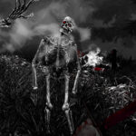 Bones