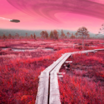 FIN_ Torronsuo National Park