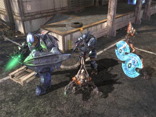 Halo-covenant_group