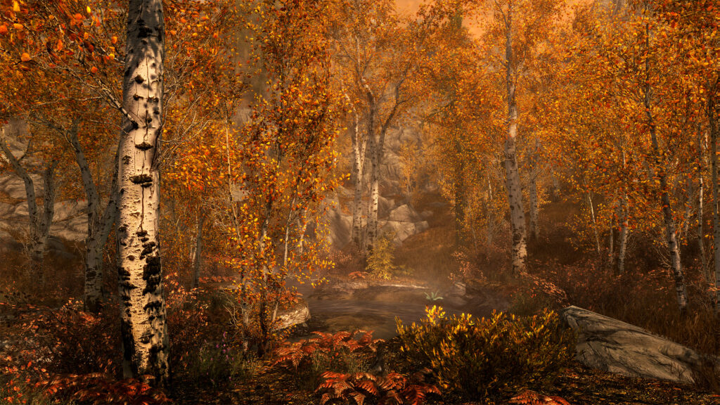 skyrimse_fallforest_full