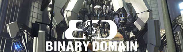 binary_domain_02
